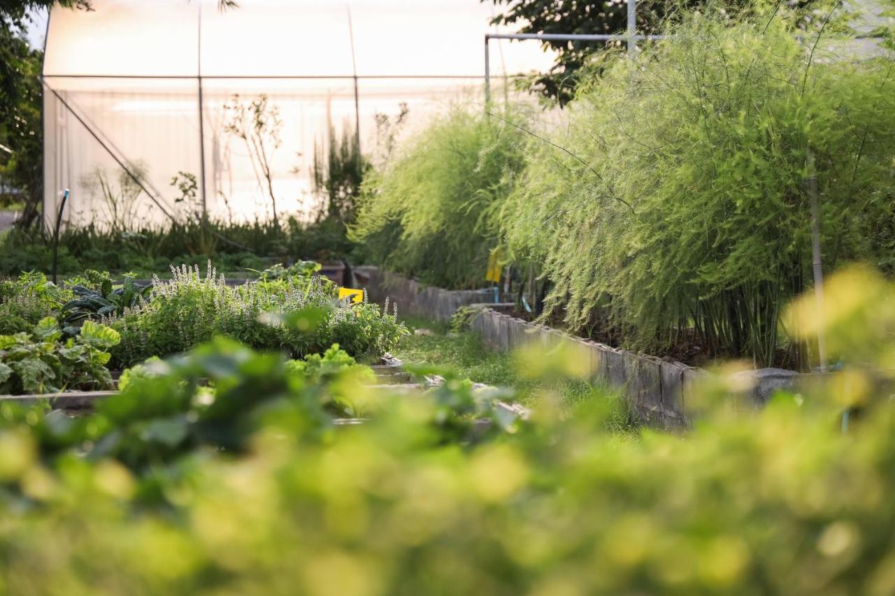 Green Me Organic Farm Stay Khaoyai Ban Khlong Yang Exterior foto