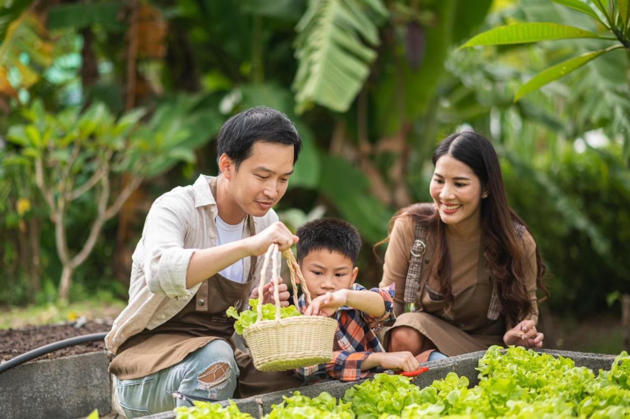 Green Me Organic Farm Stay Khaoyai Ban Khlong Yang Exterior foto