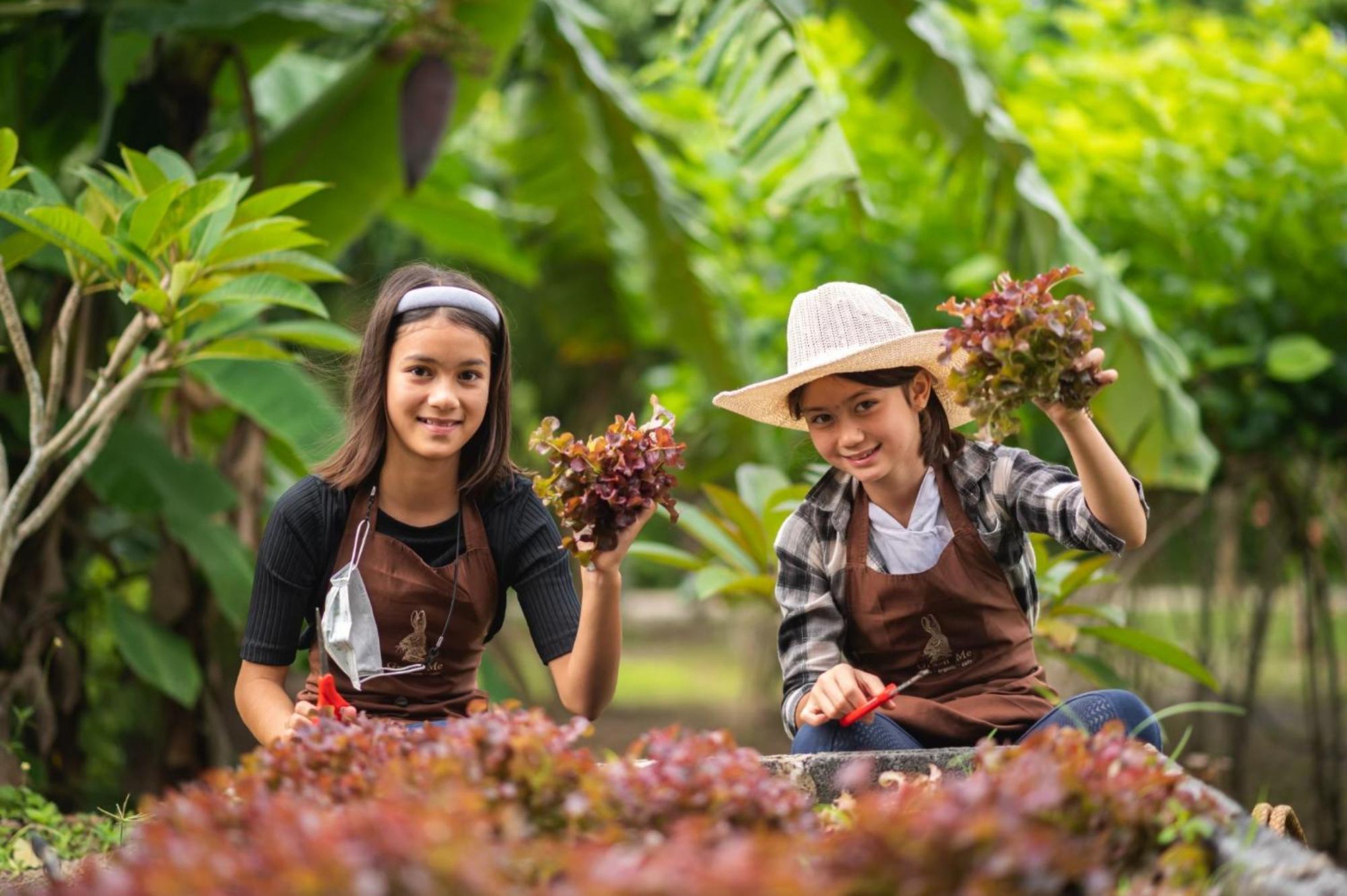 Green Me Organic Farm Stay Khaoyai Ban Khlong Yang Exterior foto